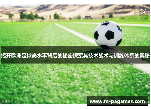 揭开欧洲足球高水平背后的秘密探索其技术战术与训练体系的奥秘