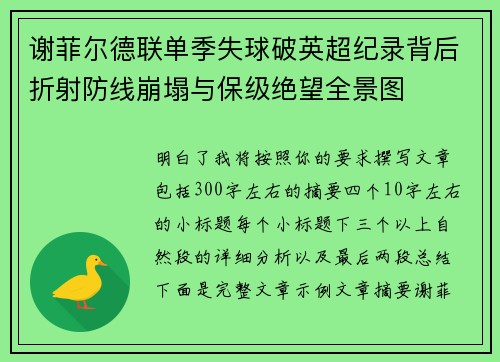 谢菲尔德联单季失球破英超纪录背后折射防线崩塌与保级绝望全景图