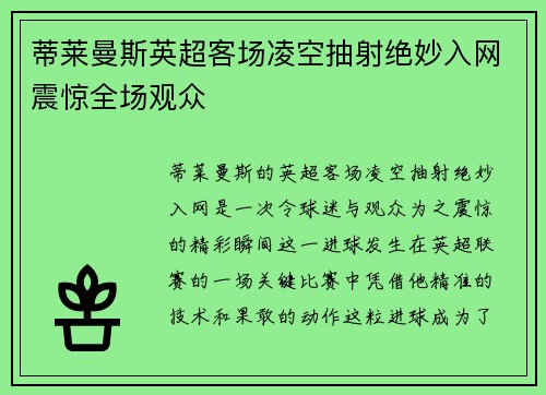 蒂莱曼斯英超客场凌空抽射绝妙入网震惊全场观众